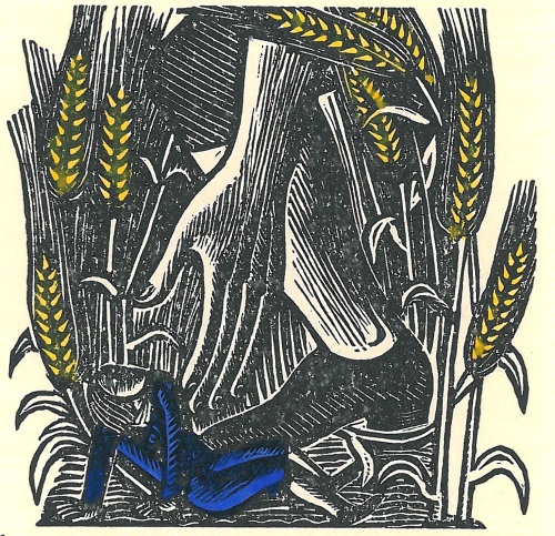 Swift, Gulliver's travels, illustrated by David Jones.