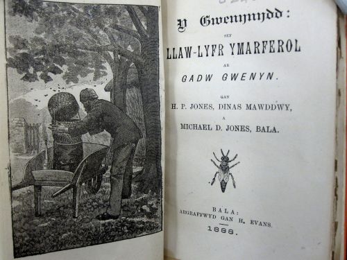 Y Gwenynydd, Title page (1888) Salis